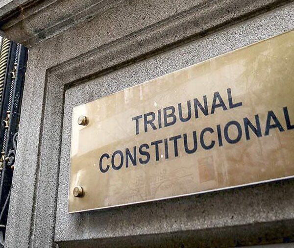 Amicus curiae elabora argumentos cuestionando indemnizaciones, acceso a la justicia y medidas relacionadas con la salmonicultura